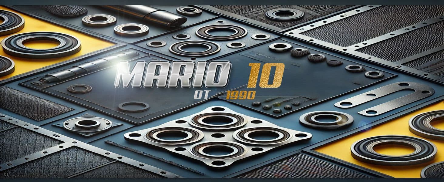Mario10 case study